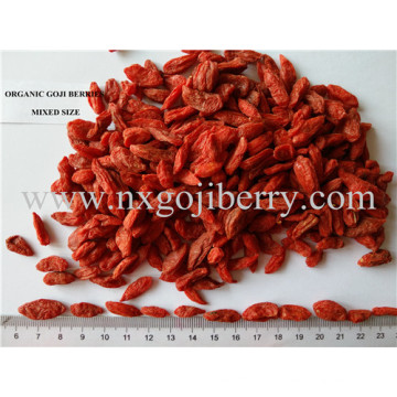 Ningxia Organic Goji Berry (Low SO2)